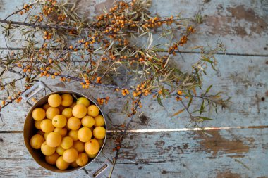 Sarı mirabelle erikleri, deniz dikenleri dalları ve böğürtlenleri olan metal bir tencerede, ahşap eski mavi masa arka planında, üst manzara.