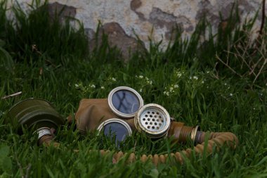 Yeşil çimenlikteki gazlar. Çevresel koruma, ekoloji, toprak tasarrufu, kirliliği önleme ve umut kavramı. 