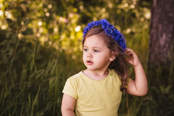 Little girl in a wreath of cornflowers — Stock Photo, Image