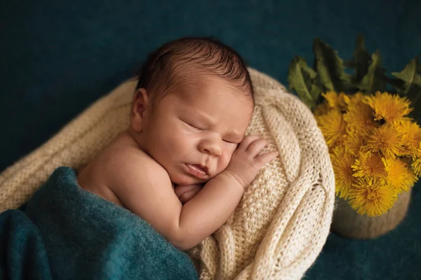 Yeni doğan çocuk uyku Telifsiz Stok Imajlar