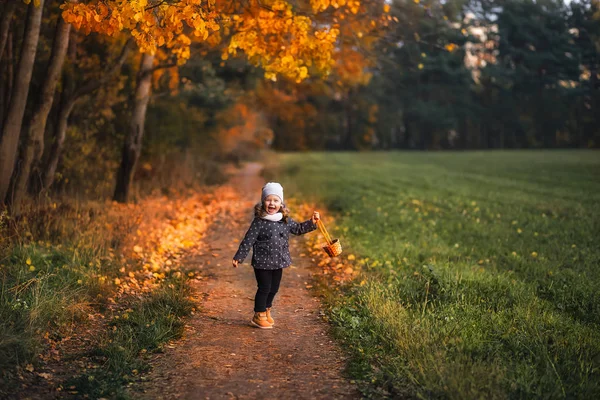 Κοπέλα Περπάτημα Στο Δάσος Φθινόπωρο — Φωτογραφία Αρχείου