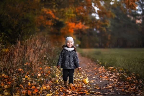 Girl Walking Forest Autumn — Zdjęcie stockowe