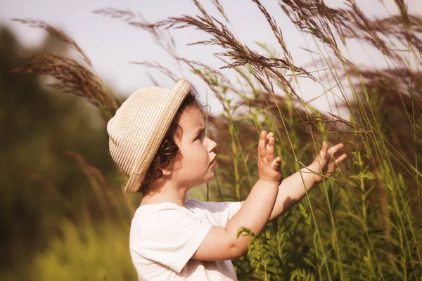 Маленькая Девочка Играет Природе Летом — стоковое фото