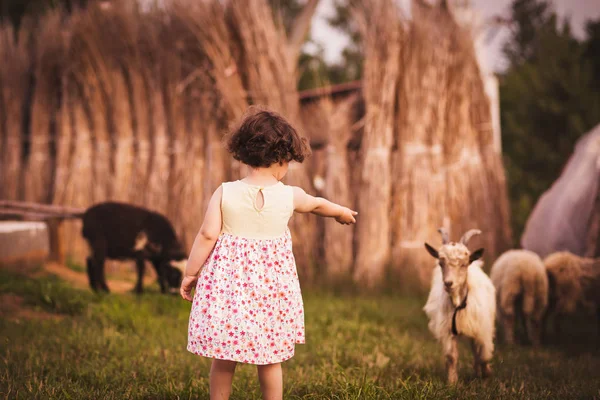 Маленькая Девочка Играет Природе Летом — стоковое фото