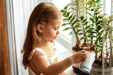 sulama ve karanfiller için bakan küçük kız