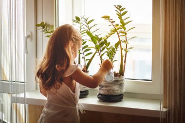 sulama ve karanfiller için bakan küçük kız