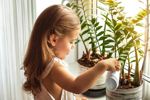 Маленька Дівчинка Поливає Доглядає Домашніми Рослинами — стокове фото