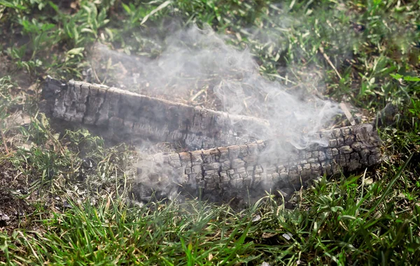 firewood smokes on the ground in nature