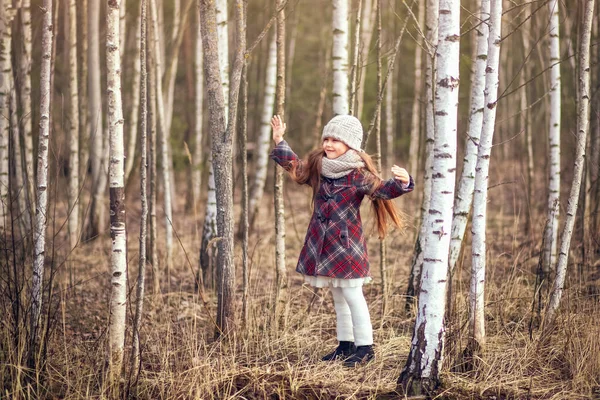 Μικρό Χαριτωμένο Κορίτσι Στο Δάσος Σημύδας Την Άνοιξη — Φωτογραφία Αρχείου