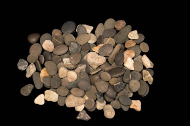 Karanlık bir arka plana karşı çok sayıda deniz taşı