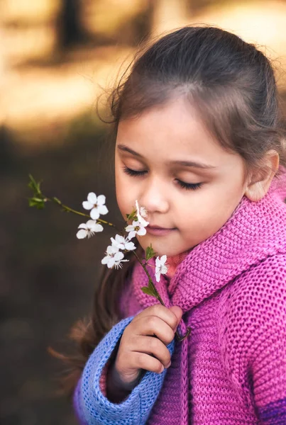 Маленька Мила Дівчинка Нюхає Вишневі Квіти — стокове фото