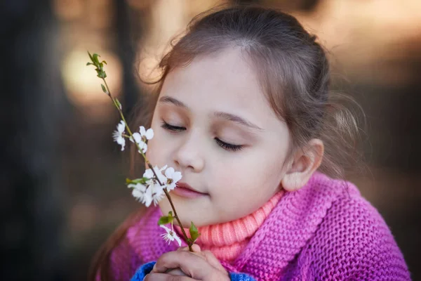 Kis Aranyos Lány Szimatol Cseresznyevirág — Stock Fotó