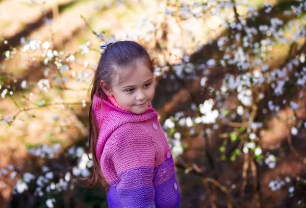 Portré Egy Aranyos Kislányról Egy Virágos Kertben — Stock Fotó