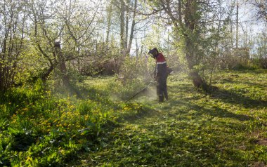 Genç adam yazın çim biçer.