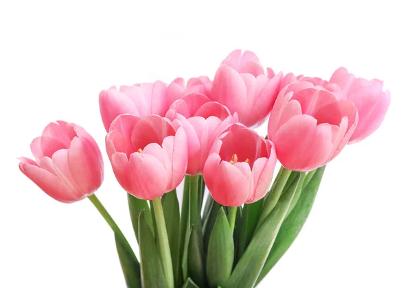 Tulipanes rosados aislados sobre fondo blanco —  Fotos de Stock