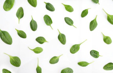 Beyaz üzerine ıspanak desenli arka plan. Üst görünüm