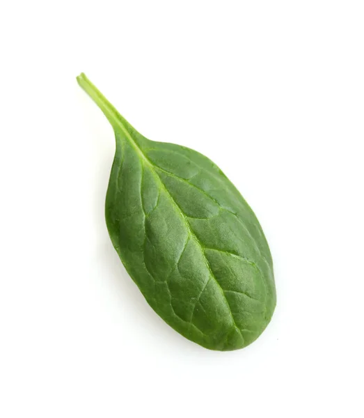 Fresh Spinach Laef Isolated White — Stock Photo, Image