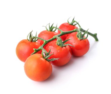 Beyaz arka planda izole edilmiş kırmızı olgun domates dalları.