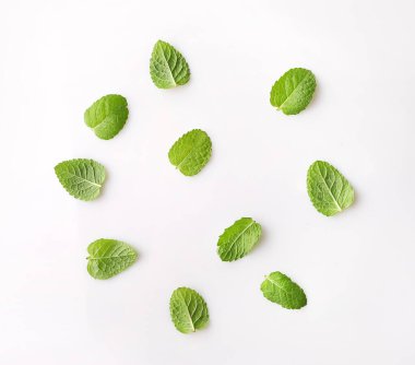 Beyaz arka planda yeşil nane yaprakları