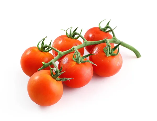 Tak Rode Rijpe Tomaten Geïsoleerd Witte Achtergrond — Stockfoto