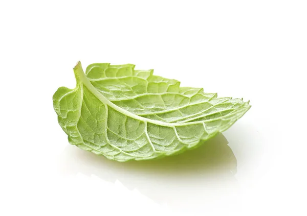 Fresh Green Mint Isolated White Background — Stock Photo, Image