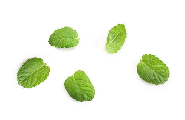 Levas Verdes Frescas Menta Aisladas Sobre Fondo Blanco — Foto de Stock