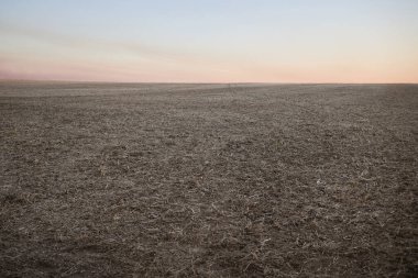 Kuru hey sonbaharda eğimli alan