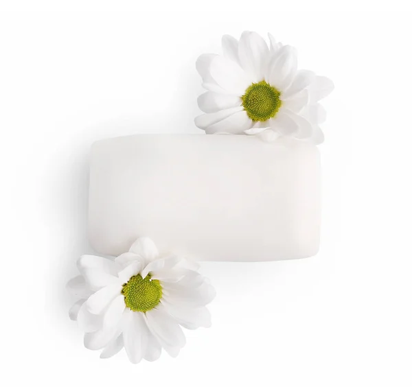 Sorba Flores Aisladas Sobre Fondo Blanco —  Fotos de Stock