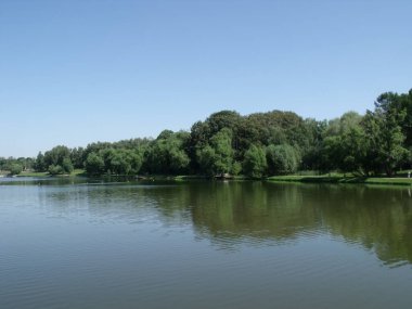 Sudaki güzel doğa.