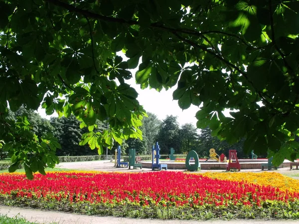 Verão Parque Com Flores Entre Árvores — Fotografia de Stock