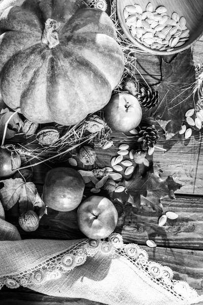 sonbahar sebze ve meyveler