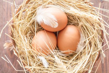 Tavuk yumurtası saman ile sepet içinde