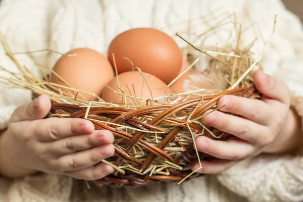 tavuk yumurtaları sepetle