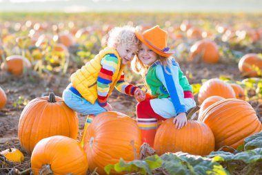 Çocuklar Halloween kabak yama üzerinde kabak toplama