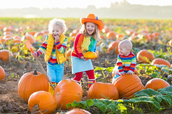Děti sbíráme dýně na Halloween pumpkin patch — Stock fotografie