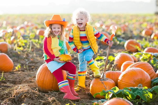 Děti sbíráme dýně na Halloween pumpkin patch — Stock fotografie