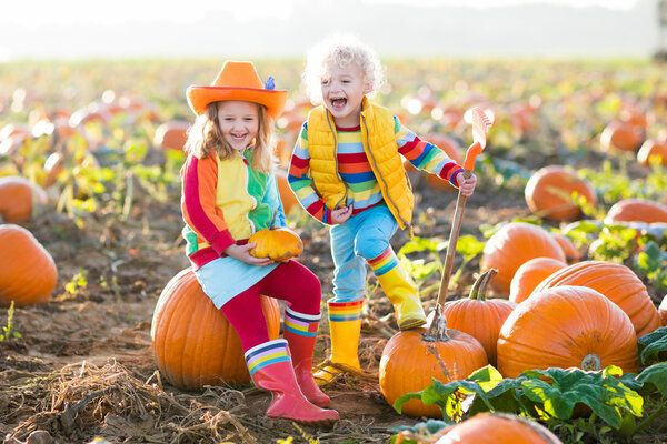 Kids picking pumpkins on Halloween pumpkin patch