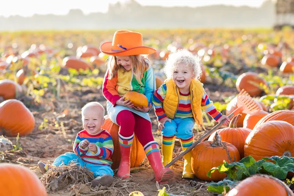 Bambini che raccolgono zucche sul cerotto di zucca di Halloween — Foto Stock