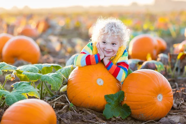 Kind spelen op pompoen patch — Stockfoto