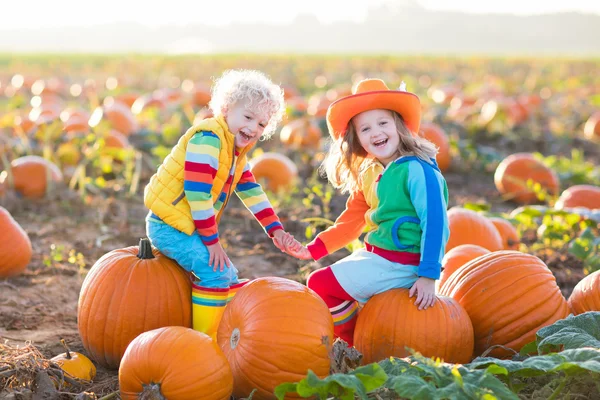 Kinderen pompoenen plukken op Halloween pompoen patch — Stockfoto