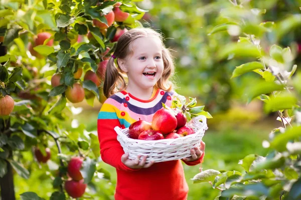 Petite fille cueillette de pomme dans le jardin de fruits — Photo