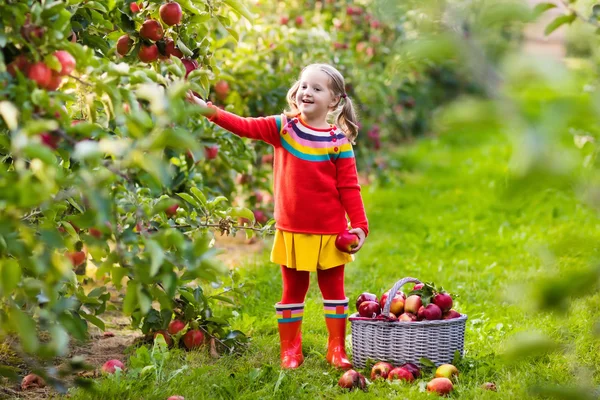 Niña recogiendo manzana en jardín de frutas — Foto de Stock