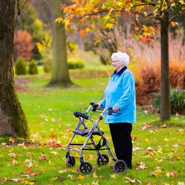 Vezető hölgy egy walker őszi parkban — Stock Fotó