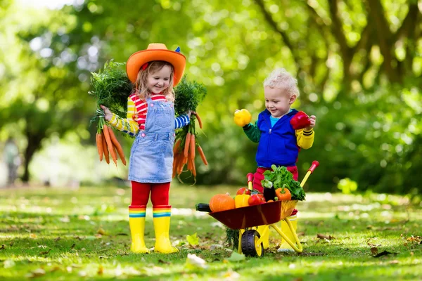 Barnen plocka grönsaker på ekologisk gård — Stockfoto