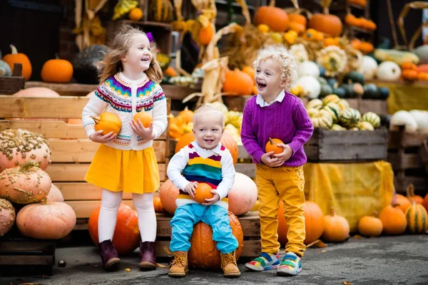 Kids having fun at pumpkin patch — Stock Photo, Image