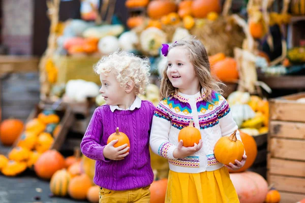 Kinderen plezier op pompoen patch — Stockfoto