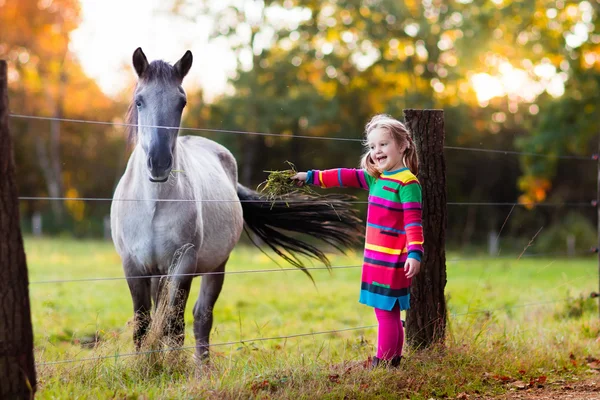 Liten flicka matar en häst — Stockfoto