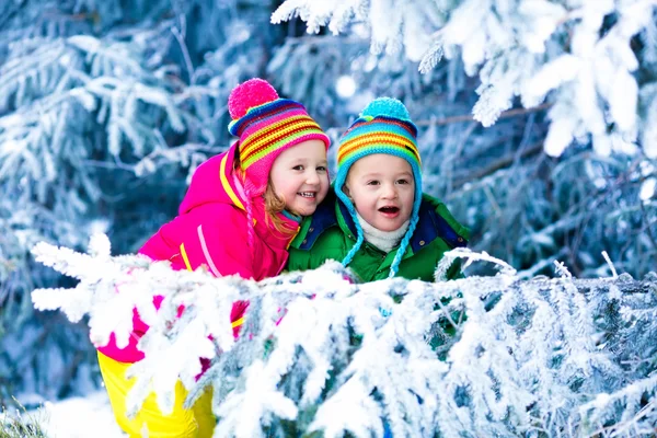 Crianças brincando na floresta nevada — Fotografia de Stock