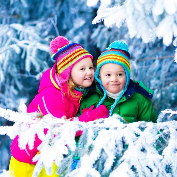 Děti hrají v zasněženém lese — Stock fotografie
