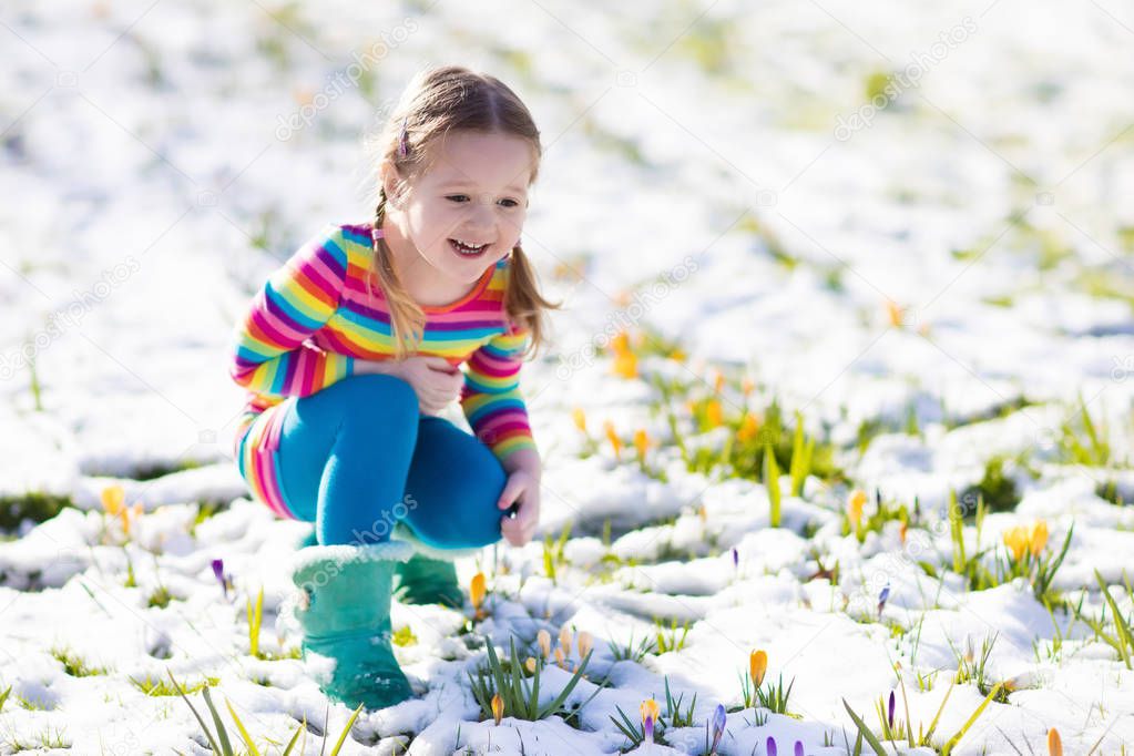Little girl with crocus flowers under snow in spring